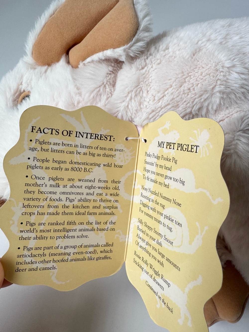 Folkmanis Piglet Puppet - Picture 5 of 9